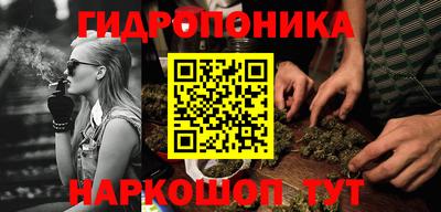 хмурый Гусев