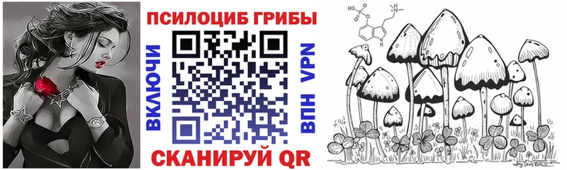 Псилоцибиновые грибы Psilocybe  darknet какой сайт  Лабытнанги 