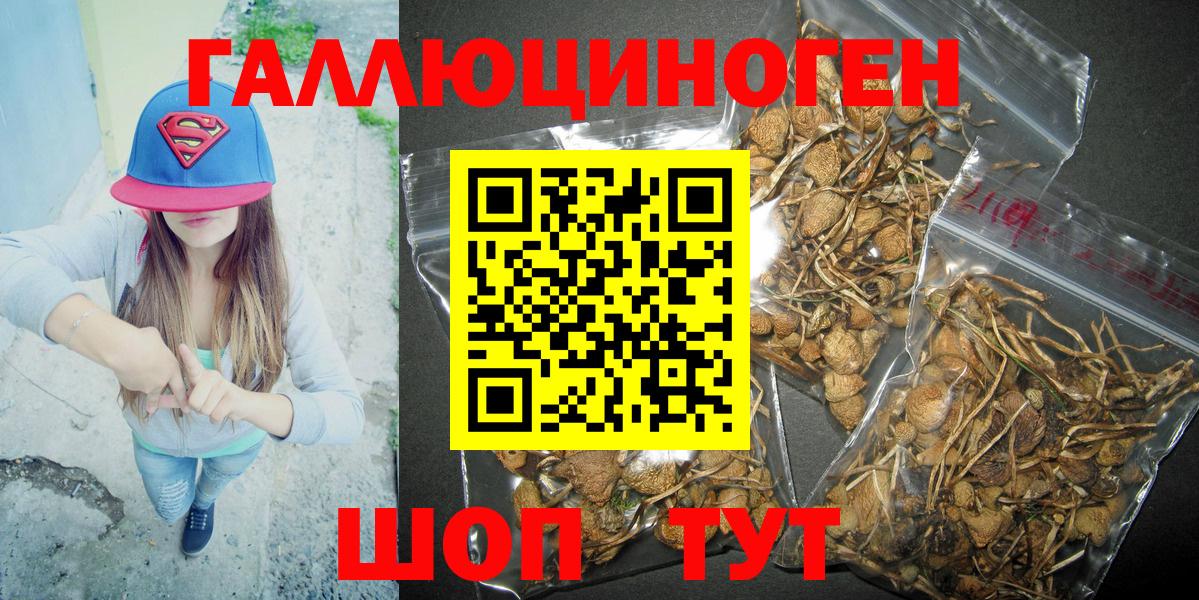 Галлюциногенные грибы Magic Shrooms  Галлюциногенные грибы GOLDEN TEACHER  Лабытнанги  Вход с VPN 