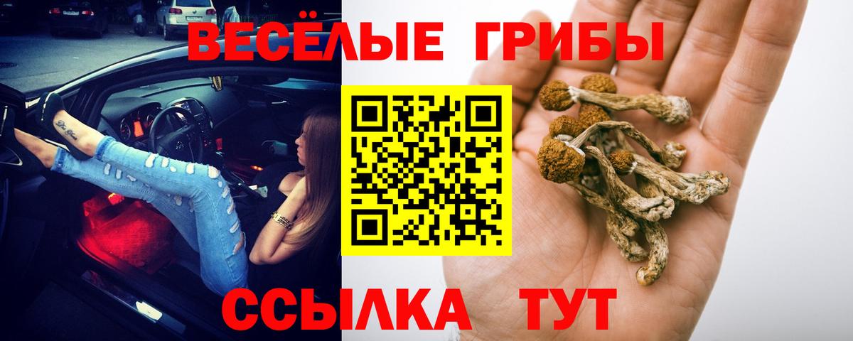 Галлюциногенные грибы Psilocybe Лабытнанги